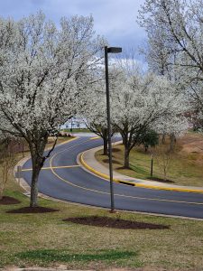 Stafford Lakes Neighborhood