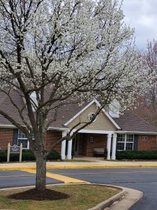stafford lakes office building